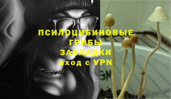 a pvp Горняк