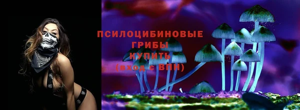 MDMA Горнозаводск