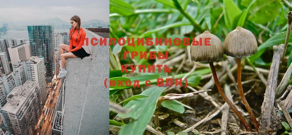 MDMA Горнозаводск