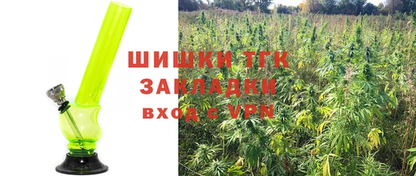 a pvp Горняк