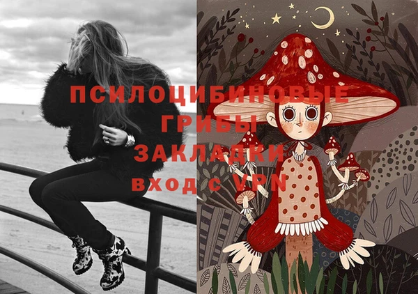 MDMA Горнозаводск
