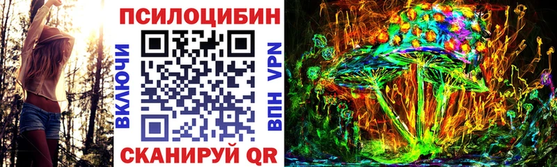 Псилоцибиновые грибы Cubensis Купить Лихославль
